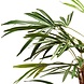 Greenmoods Kunstplant Lady Palm 70 cm Greenmoods Kunstplant Lady Palm 70 cm