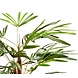 Greenmoods Kunstplant Lady Palm 70 cm Greenmoods Kunstplant Lady Palm 70 cm