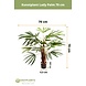 Greenmoods Kunstplant Lady Palm 70 cm Greenmoods Kunstplant Lady Palm 70 cm