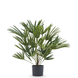 Greenmoods Kunstplant Baby Palm Fan in pot 50 cm Greenmoods Kunstplant Baby Palm Fan in pot 50 cm