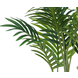 Greenmoods Kunstplant Phoenix 80 cm Greenmoods Kunstplant Phoenix 80 cm