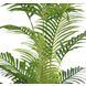 Greenmoods Kunstplant Phoenix 180 cm Greenmoods Kunstplant Phoenix 180 cm