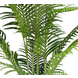 Greenmoods Kunstplant Phoenix 200 cm Greenmoods Kunstplant Phoenix 200 cm