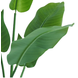 Greenmoods Kunstplant Strelitzia Nicolai 90 cm Greenmoods Kunstplant Strelitzia Nicolai 90 cm