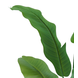 Greenmoods Kunstplant Strelitzia Nicolai 90 cm Greenmoods Kunstplant Strelitzia Nicolai 90 cm