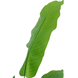 Greenmoods Kunstplant Strelitzia Nicolai 90 cm Greenmoods Kunstplant Strelitzia Nicolai 90 cm