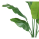 Greenmoods Kunstplant Strelitzia Nicolai 120 cm Greenmoods Kunstplant Strelitzia Nicolai 120 cm
