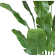 Greenmoods Kunstplant Strelitzia Nicolai 165 cm Greenmoods Kunstplant Strelitzia Nicolai 165 cm