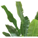 Greenmoods Kunstplant Strelitzia Nicolai 180 cm Greenmoods Kunstplant Strelitzia Nicolai 180 cm