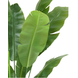 Greenmoods Kunstplant Strelitzia Nicolai 180 cm Greenmoods Kunstplant Strelitzia Nicolai 180 cm
