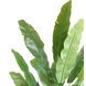 Greenmoods Kunstplant Strelitzia Nicolai 195 cm Greenmoods Kunstplant Strelitzia Nicolai 195 cm
