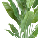 Greenmoods Kunstplant Strelitzia Nicolai 195 cm Greenmoods Kunstplant Strelitzia Nicolai 195 cm