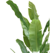 Greenmoods Kunstplant Strelitzia Nicolai 210 cm Greenmoods Kunstplant Strelitzia Nicolai 210 cm