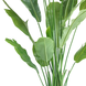 Greenmoods Kunstplant Strelitzia Nicolai 210 cm Greenmoods Kunstplant Strelitzia Nicolai 210 cm