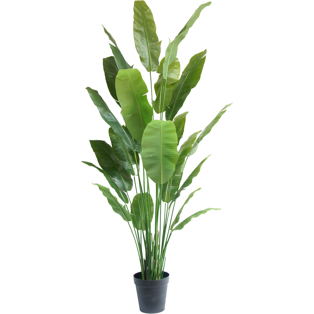 Nicolai Greenmoods - Pflanze Künstliche 240 cm Strelitzia Greenmoods