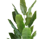 Greenmoods Kunstplant Strelitzia Nicolai 240 cm Greenmoods Kunstplant Strelitzia Nicolai 240 cm