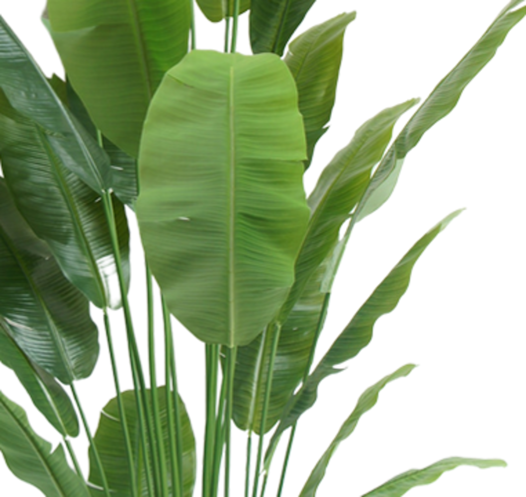 Greenmoods Pianta artificiale Strelitzia Nicolai 240 cm - Greenmoods