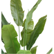 Greenmoods Kunstplant Strelitzia Nicolai 240 cm Greenmoods Kunstplant Strelitzia Nicolai 240 cm