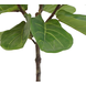 Greenmoods Kunstplant Ficus Tabaksplant 90 cm Greenmoods Kunstplant Ficus Tabaksplant 90 cm