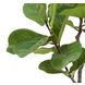 Greenmoods Kunstplant Ficus Tabaksplant 120 cm Greenmoods Kunstplant Ficus Tabaksplant 120 cm
