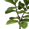 Greenmoods Kunstplant Ficus Tabaksplant 150 cm Greenmoods Kunstplant Ficus Tabaksplant 150 cm