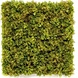 Greenmoods Kunsthaag Nordic Mos 50x50 cm UV Greenmoods Kunsthaag Nordic Mos 50x50 cm UV