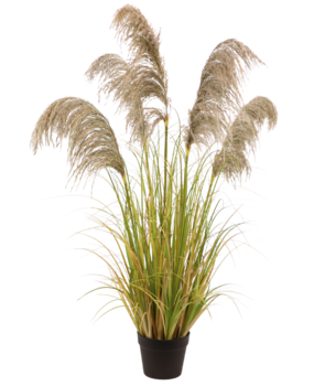 Herbe artificielle des marais 65 cm - Herbe artificielle - Artiplantes
