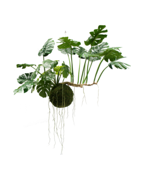 Greenmoods Planta colgante artificial mini semillas 85 cm - Greenmoods