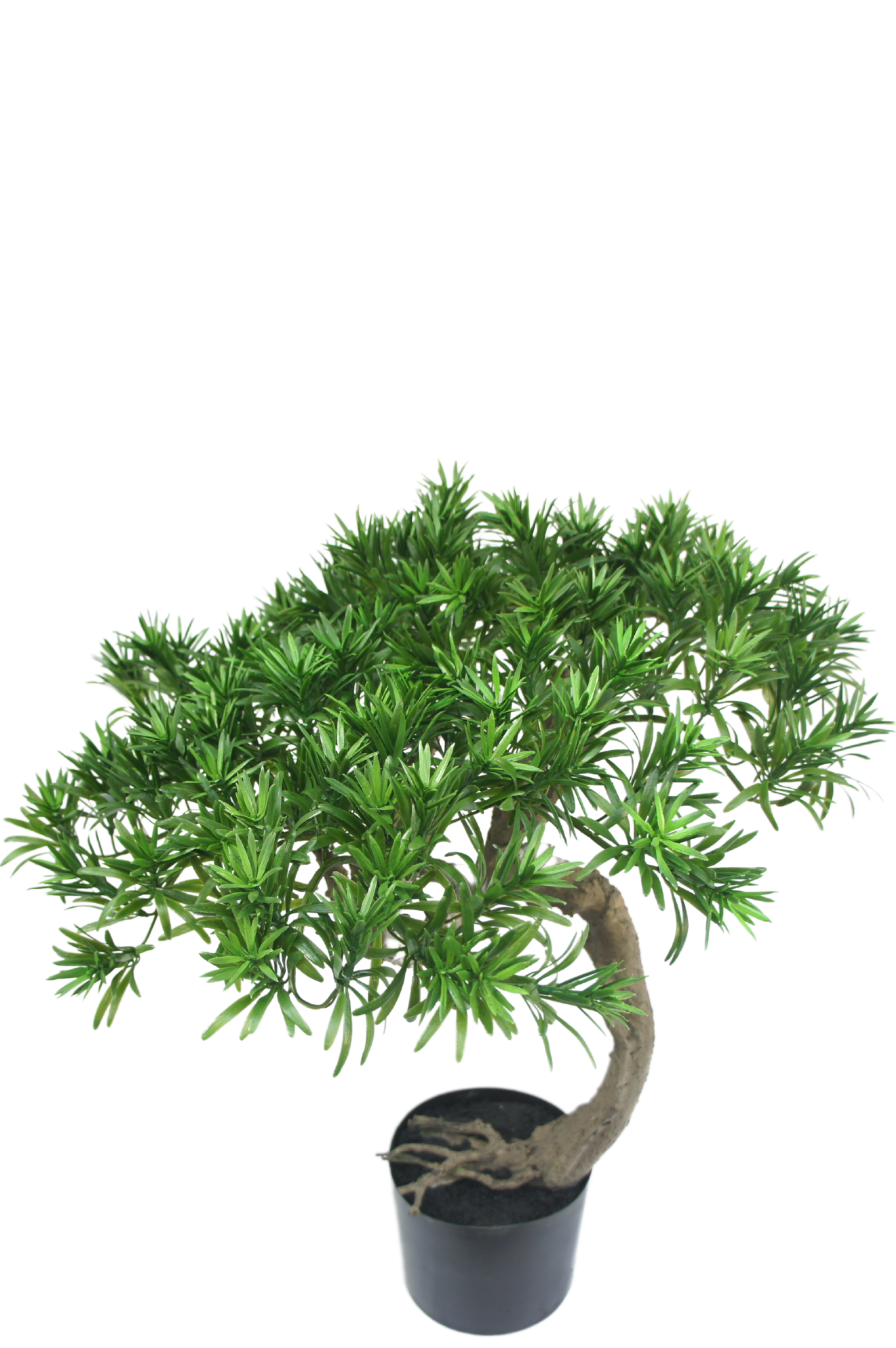 Greenmoods Bonsai Artificiale Pino 55 cm - Greenmoods