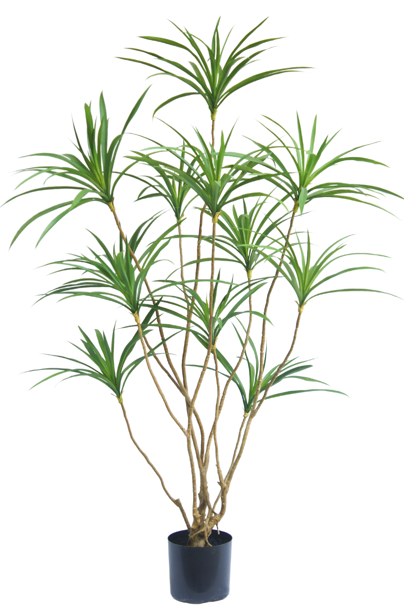 Greenmoods Pianta artificiale Dracaena 150 cm - Greenmoods