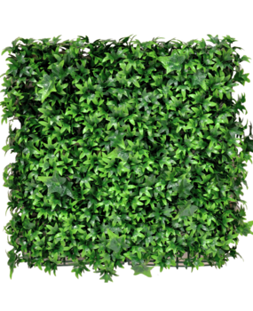 Greenmoods Siepe artificiale Edera 50x50 cm UV - Greenmoods