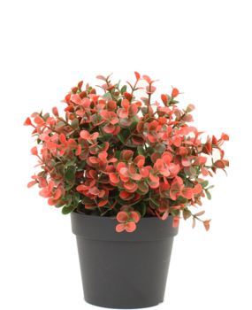 Greenmoods Flor artificial Paniculata 94 cm - Greenmoods