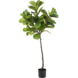 Greenmoods Kunstplant Ficus Tabaksplant 180 cm Greenmoods Kunstplant Ficus Tabaksplant 180 cm