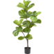 Greenmoods Kunstplant Ficus Tabaksplant 120 cm Greenmoods Kunstplant Ficus Tabaksplant 120 cm