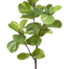 Greenmoods Kunstplant Ficus Tabaksplant 120 cm Greenmoods Kunstplant Ficus Tabaksplant 120 cm