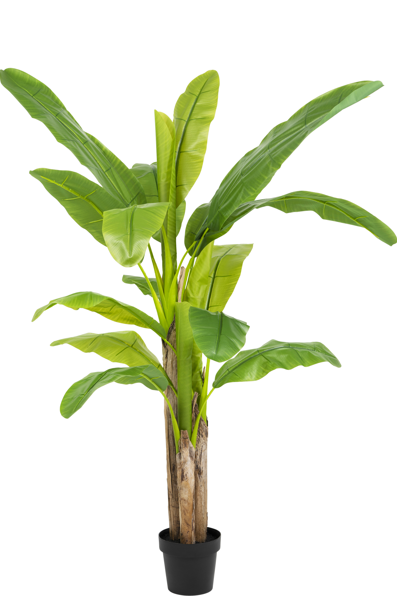 Artificial Plant Banana Tree 180 cm - Greenmoods