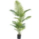 Greenmoods Kunstplant Phoenix 180 cm Greenmoods Kunstplant Phoenix 180 cm