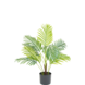 Greenmoods Kunstplant Phoenix 80 cm Greenmoods Kunstplant Phoenix 80 cm