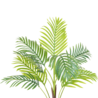 Greenmoods Kunstplant Phoenix 80 cm Greenmoods Kunstplant Phoenix 80 cm