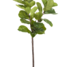 Greenmoods Kunstplant Ficus Tabaksplant 150 cm Greenmoods Kunstplant Ficus Tabaksplant 150 cm