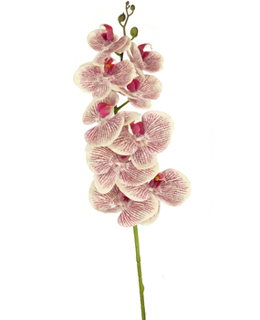 Orchidea artificiale 52 cm bianca in vaso dorato - Greenmoods