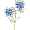 Greenmoods Kunstbloem Scabiosa Japonica 70 cm blauw Greenmoods Kunstbloem Scabiosa Japonica 70 cm blauw