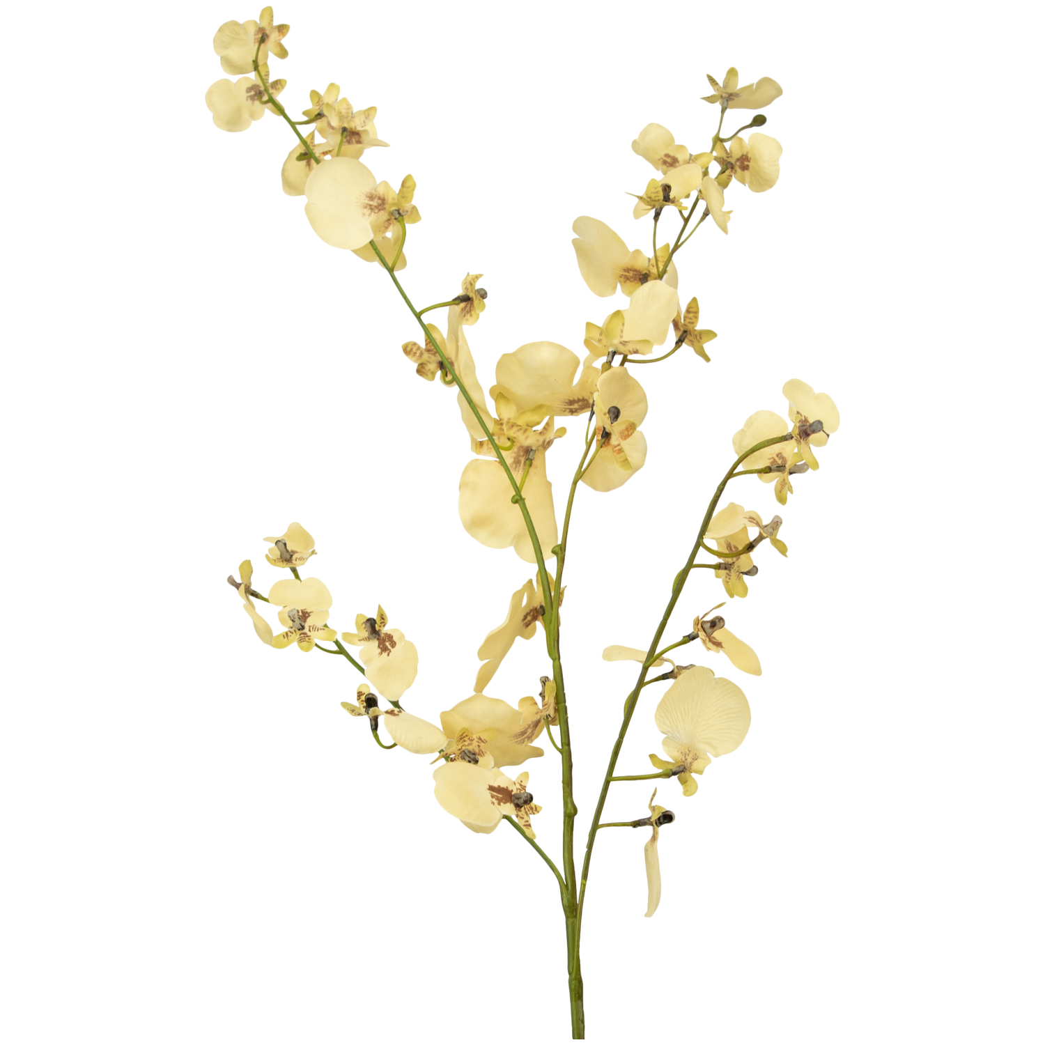 Greenmoods Ramo artificiale Orchidea 80 cm beige