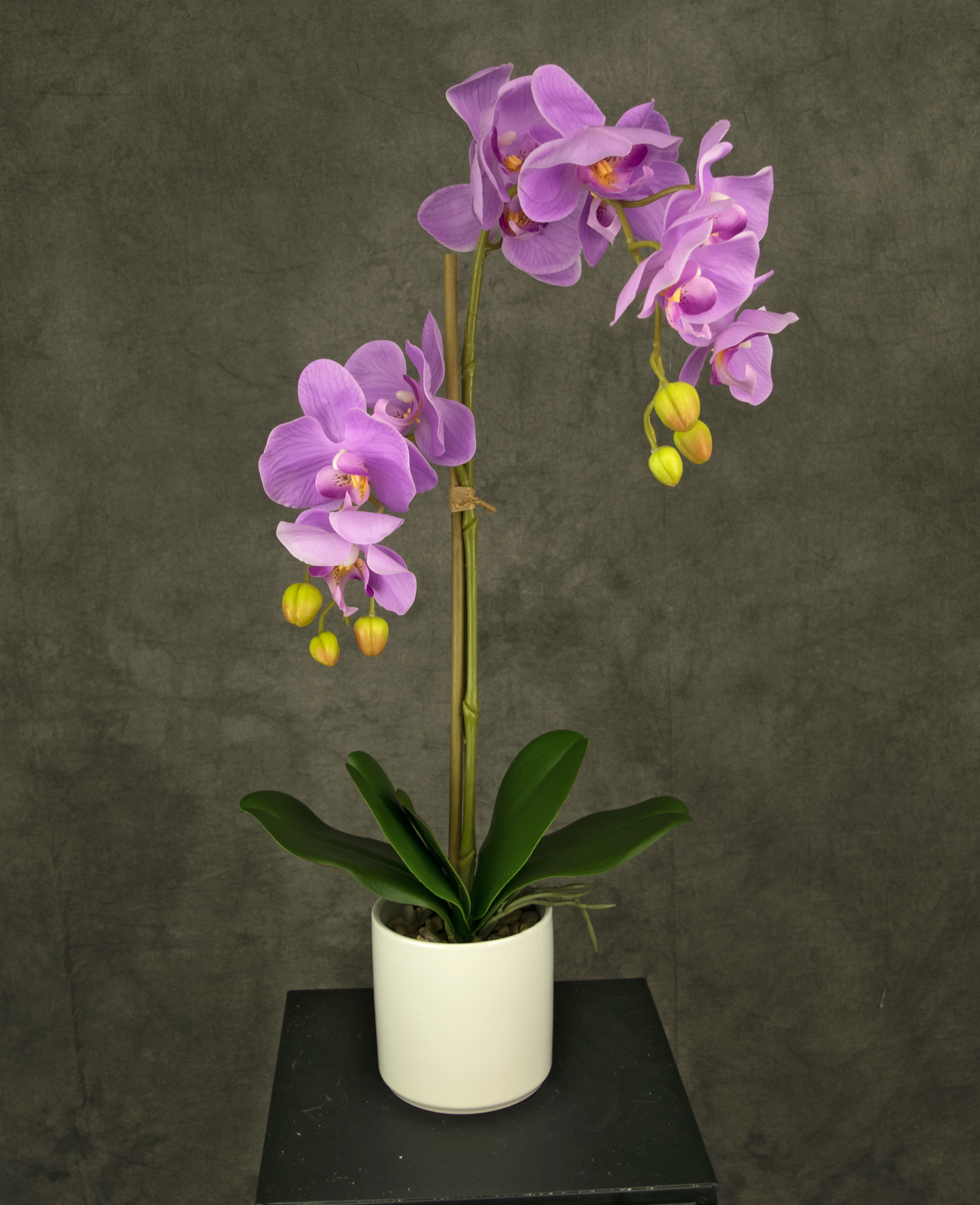 Orchidea artificiale 52 cm rosa in vaso bianco - Greenmoods