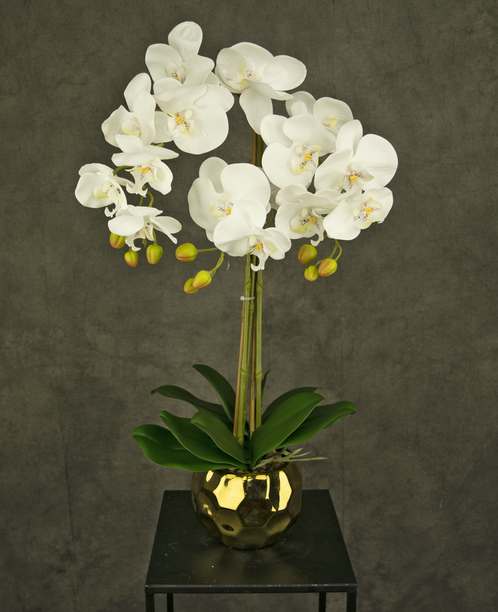 https://cdn.webshopapp.com/shops/339379/files/429671506/greenmoods-orchidea-artificiale-52-cm-bianca-in-va.jpg