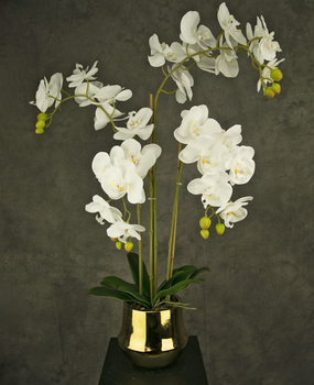 Plante d'orchidée blanche, 58cm, plante artificielle, orchidée artificielle