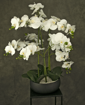Orchidee artificiali - Greenmoods