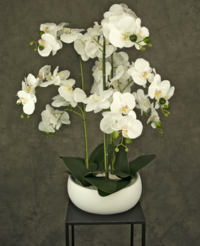 Orchidea artificiale 65 cm bianca in ciotola bianca - Greenmoods