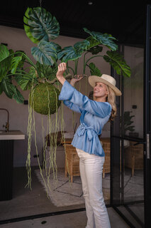 Kunstige Hængende Planter