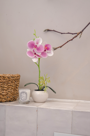 Greenmoods Orchidea artificiale 28 cm bianco/rosa in vaso